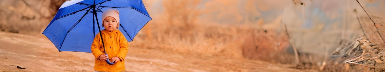 Term Life Banner Image